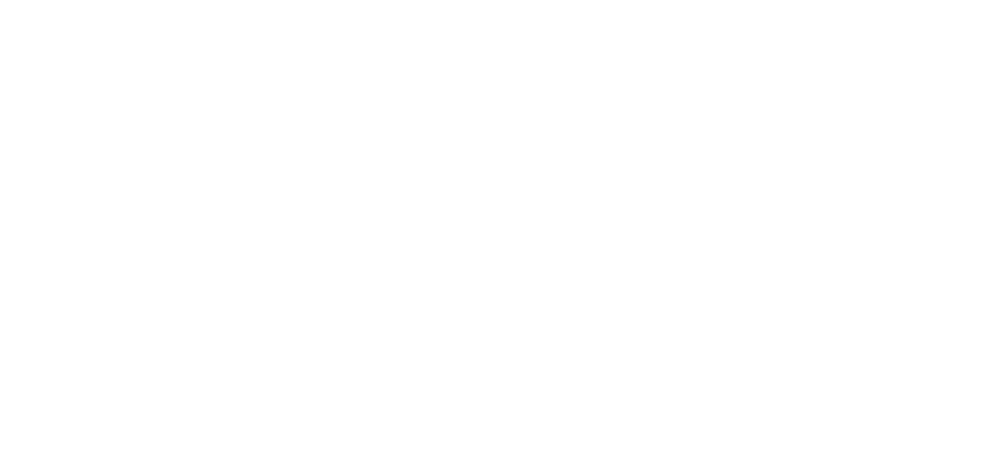 Saravi Consulting